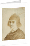Portrait of a Lady by Jan van de Velde