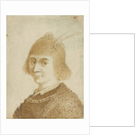 Portrait of a Lady by Jan van de Velde