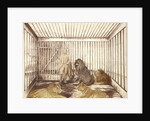 Portrait of a Man with Lions by Anonymous
