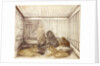 Portrait of a Man with Lions by Anonymous