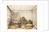 Portrait of a Man with Lions by Anonymous