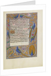 Decorated Text Page by Anonymous