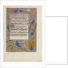 Decorated Text Page by Anonymous