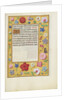 Decorated Text Page by Anonymous