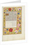 Decorated Text Page by Anonymous