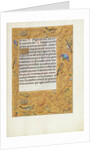 Decorated Text Page by Anonymous