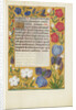 Decorated Text Page by Anonymous