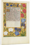 Decorated Text Page by Anonymous