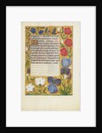 Decorated Text Page by Anonymous
