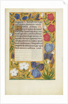 Decorated Text Page by Anonymous