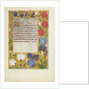 Decorated Text Page by Anonymous