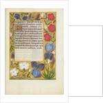 Decorated Text Page by Anonymous