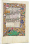 Decorated Text Page by Anonymous