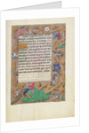Decorated Text Page by Anonymous