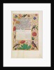Decorated Text Page by Anonymous