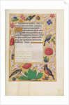 Decorated Text Page by Anonymous