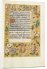 Decorated Text Page by Anonymous