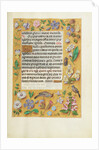 Decorated Text Page by Anonymous
