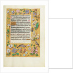 Decorated Text Page by Anonymous