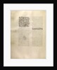 Text Page by Anonymous