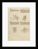 Unarmed Equestrian Combat by Fiore Furlan dei Liberi da Premariacco