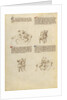 Unarmed Equestrian Combat by Fiore Furlan dei Liberi da Premariacco