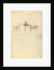 Two Horses by Fiore Furlan dei Liberi da Premariacco