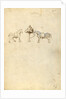 Two Horses by Fiore Furlan dei Liberi da Premariacco