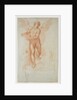 An Angel Holding a Book (recto), Three Studies of a Falling Male Figure (verso) by Cristoforo Roncalli