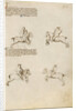 Equestrian Combat with Lance by Fiore Furlan dei Liberi da Premariacco