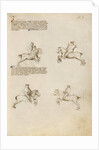 Equestrian Combat with Lance by Fiore Furlan dei Liberi da Premariacco