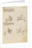 Equestrian Combat with Lance by Fiore Furlan dei Liberi da Premariacco