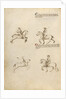 Equestrian Combat with Lance by Fiore Furlan dei Liberi da Premariacco