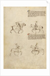Equestrian Combat with Sword by Fiore Furlan dei Liberi da Premariacco