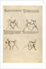 Combat with Pollaxe by Fiore Furlan dei Liberi da Premariacco