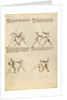 Combat with Pollaxe by Fiore Furlan dei Liberi da Premariacco