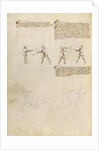 Combat with Implements by Fiore Furlan dei Liberi da Premariacco