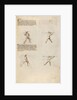 Combat with Lance by Fiore Furlan dei Liberi da Premariacco