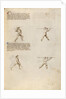 Combat with Lance by Fiore Furlan dei Liberi da Premariacco