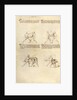 Combat with Sword by Fiore Furlan dei Liberi da Premariacco