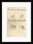 Combat with Sword by Fiore Furlan dei Liberi da Premariacco