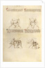 Combat with Sword by Fiore Furlan dei Liberi da Premariacco