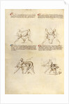 Combat with Sword by Fiore Furlan dei Liberi da Premariacco