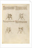 Combat with Sword by Fiore Furlan dei Liberi da Premariacco