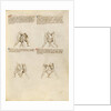 Combat with Sword by Fiore Furlan dei Liberi da Premariacco