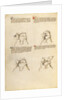 Combat with Sword by Fiore Furlan dei Liberi da Premariacco