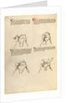 Combat with Sword by Fiore Furlan dei Liberi da Premariacco