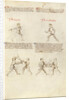 Combat with Sword by Fiore Furlan dei Liberi da Premariacco