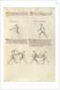 Combat with Sword by Fiore Furlan dei Liberi da Premariacco