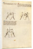 Combat with Sword by Fiore Furlan dei Liberi da Premariacco
